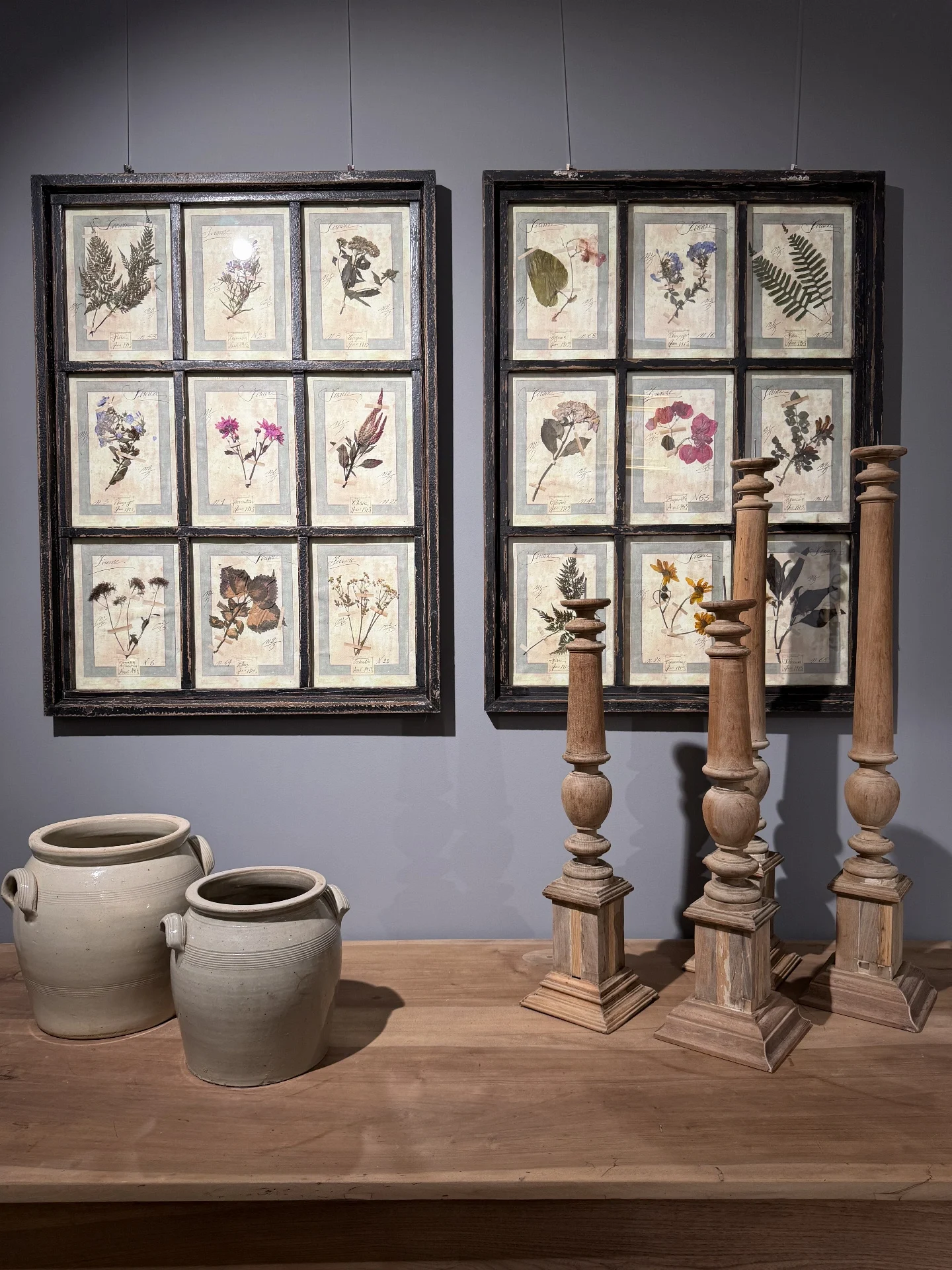 Herbario formado por 9 láminas botánicas VENDIDOS