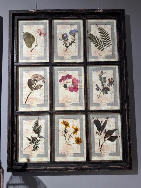 Herbario formado por 9 láminas botánicas VENDIDOS - Imagen 2