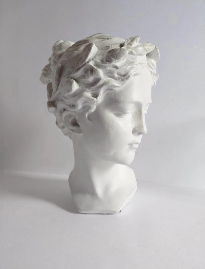 Busto femenino en yeso blanco - Imagen 3